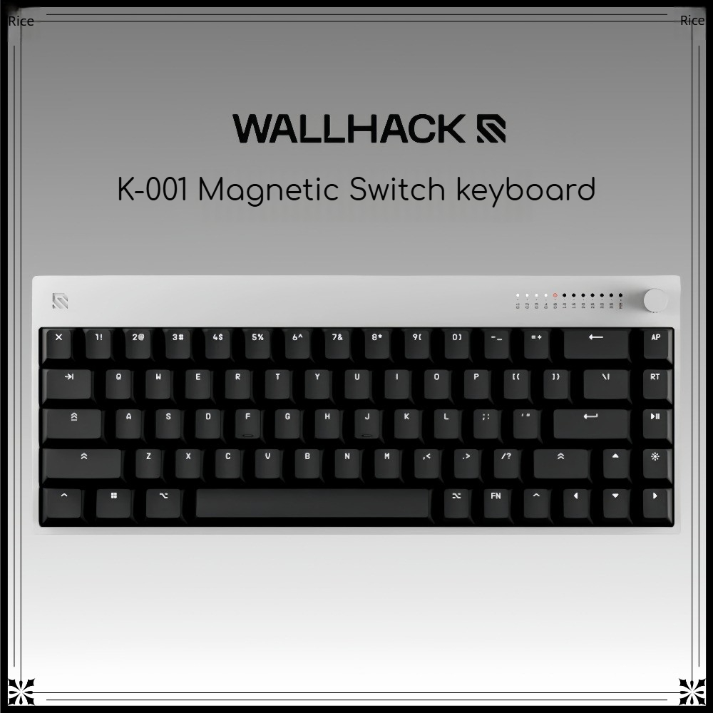 WALLHACK K-001 Keyboard Switch - Gaming Keyboard Hall Effect Switches ulasan dan harga